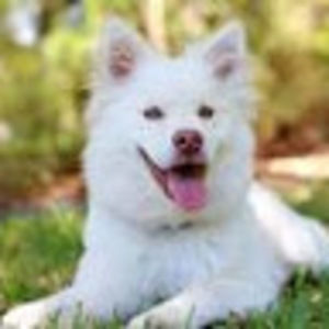 Meet your Posher, Ricardo